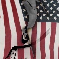 القائد الشهيد سليماني 